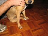 post-28410-1239178314_thumb.jpg