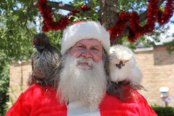 5c208b18aee6d_24-12-2018-kindifarm-santa520.thumb.jpg.921bc5fbf15b79b3ee08a93691c1e348.jpg