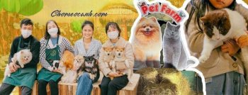 chomeocanh.com-background.jpg