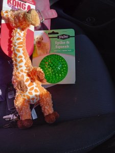 tn_IMG20240514124408.jpg