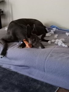 tn_IMG20240515095452.jpg