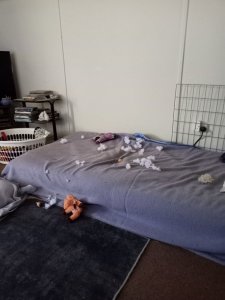 tn_IMG20240515100458.jpg