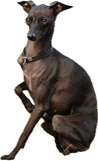 image.png.963757410b5be6101d992d608487a5ec.png