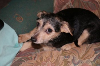 1 016 [1600x1200].JPG