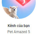 PetAmazed5
